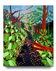 Path of Embers